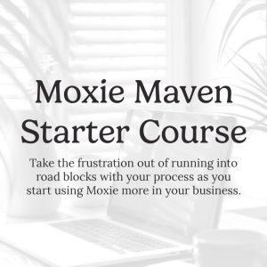 maven starter course feature